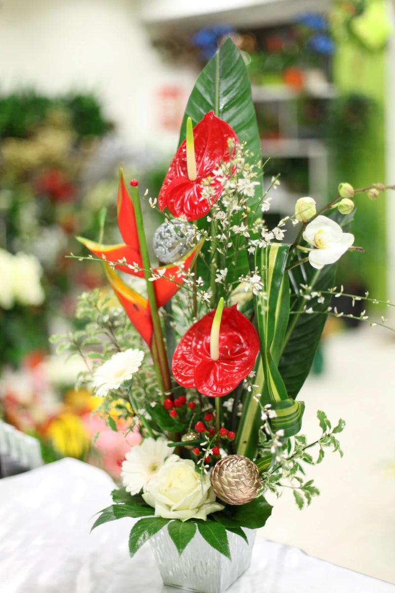 compo-oiseau-paradis-et-anthurium-v2
