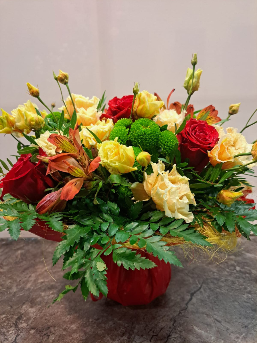 img-20240209-wa0014