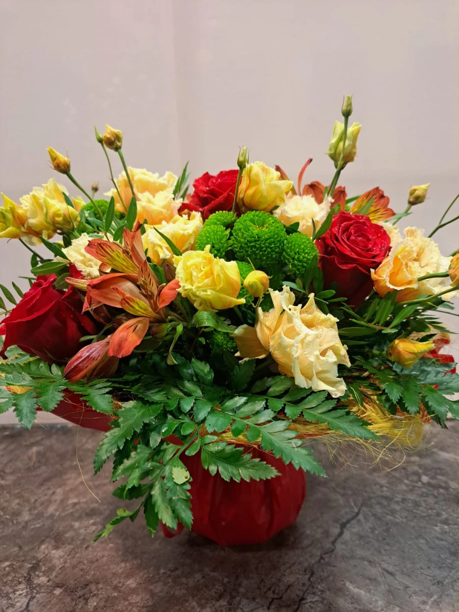 img-20240209-wa0014