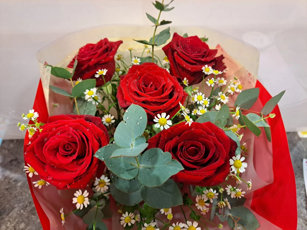 img-20240209-wa0038