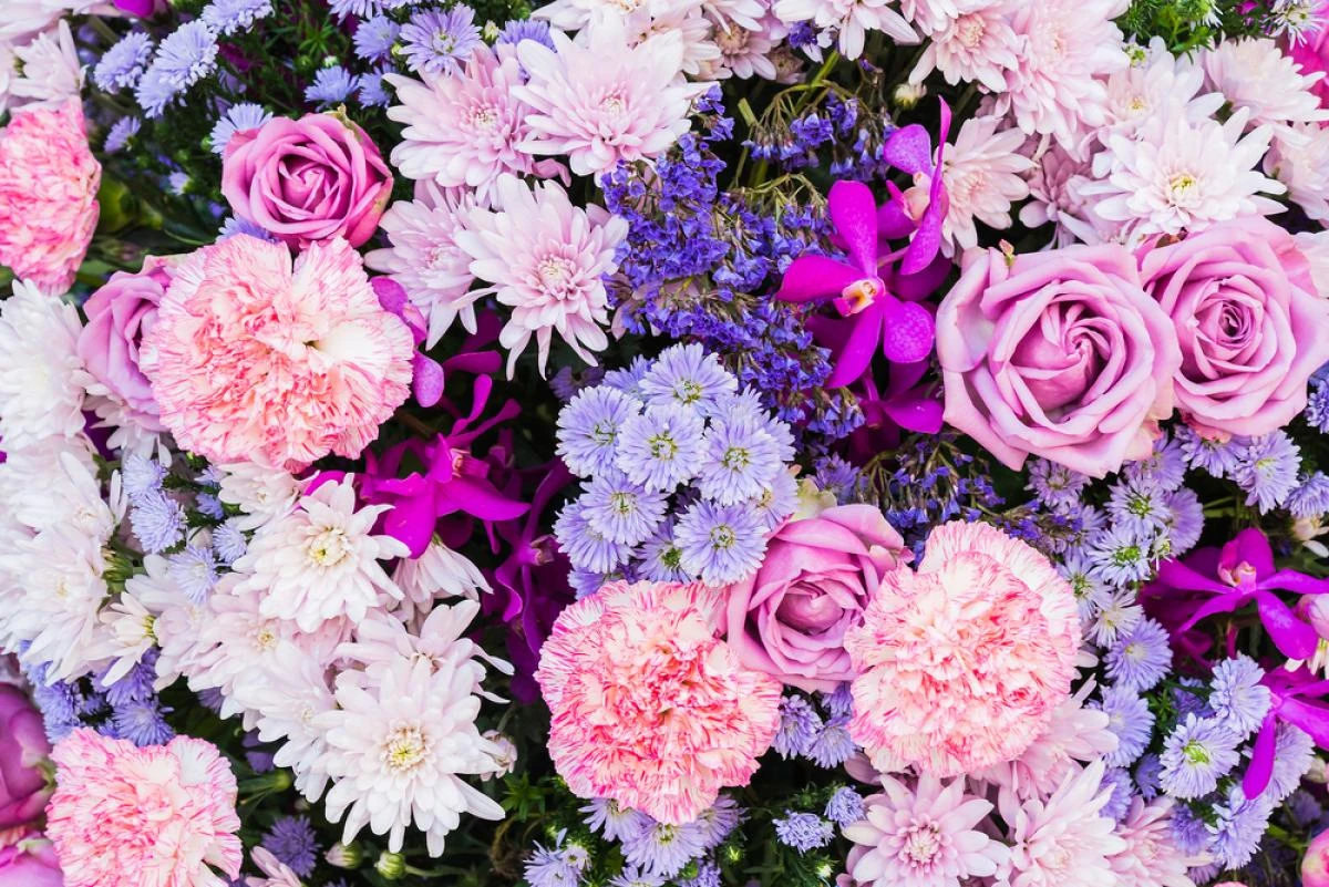 Plantes vertes / fleuries