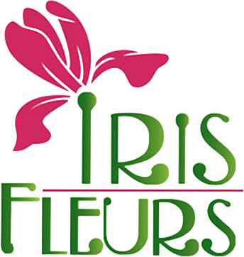 IRIS FLEURS