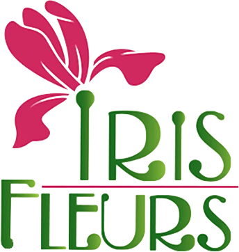 IRIS FLEURS